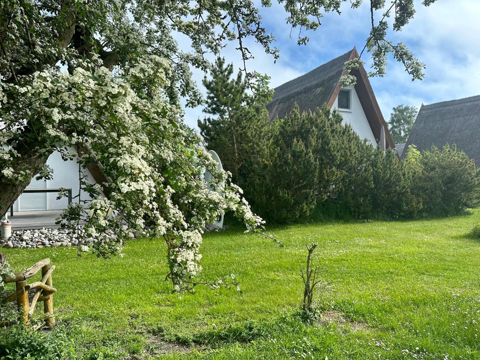 Finnhuette Nr.42 Auf Moenchgut 가거 외부 사진